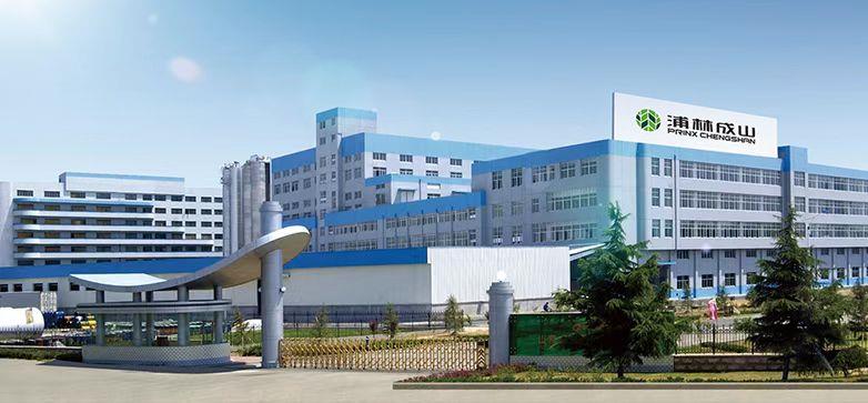 Prinx Chengshan (Shandong) Tire Company Ltd